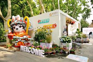 优空间 强供给 促功能丨聚焦“亲邻斜土”，探索公共文化服务新范式